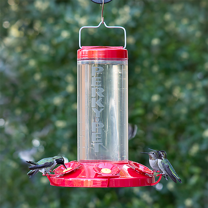 Perky-Pet Grand Master Kolibri-Futterstation - 1,3 L Fassungsvermögen, 6 Ansitze