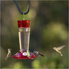 More Birds® Bird Health Natural Grape Ready-To-Use Hummingbird And Oriole Nectar