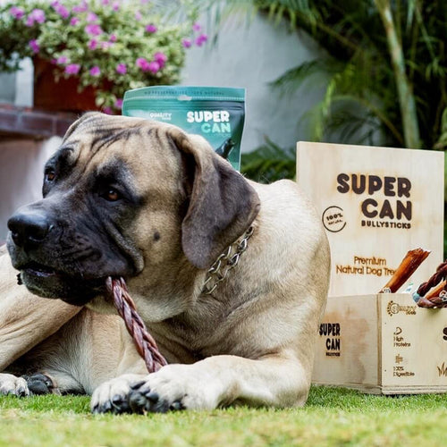 Supercan Supercan 6