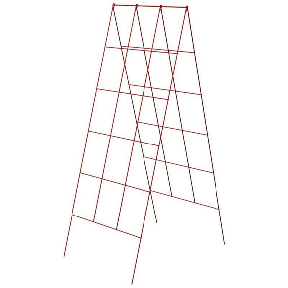 A Frame Trellis