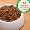 IAMS™ Adult Minichunks