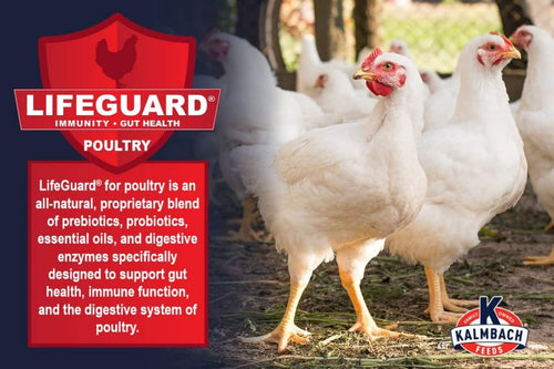 22% Start-To-Finish Meatbird (Non-GMO)