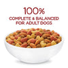 Purina Beneful Originals Dry Dog Food with Farm-Raised Beef