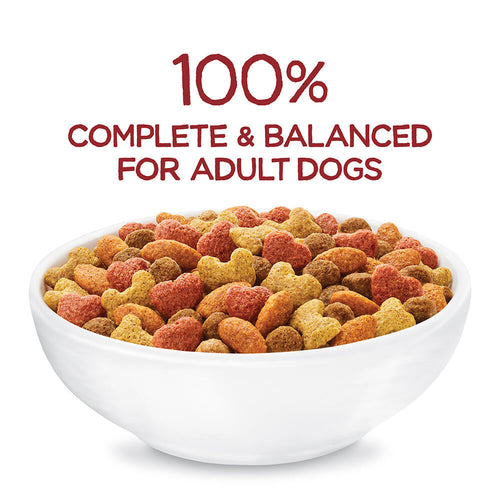 Purina Beneful Originals Dry Dog Food with Farm-Raised Beef