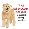 Purina Beneful Originals Dry Dog Food with Farm-Raised Beef