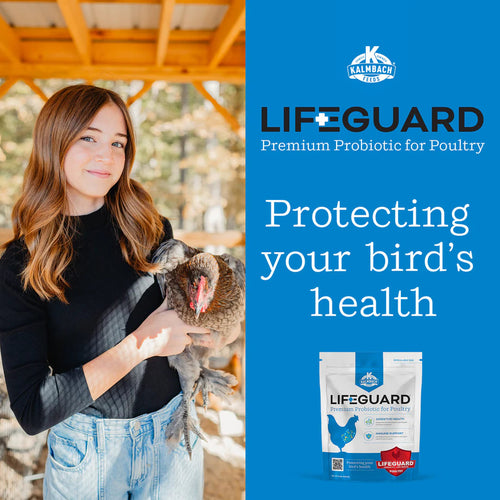 Kalmbach Feeds LifeGuard® Poultry Supplement