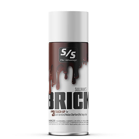 TOUCH UP PAINT