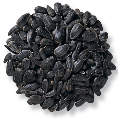 Nature's Window Black Oil Sunflower Wild Bird Seed
