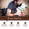 Holistic Select Natural Large & Giant Breed Puppy Health Lamb Meal and Oatmeal Dry Dog Food