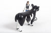 Little Busters Cattle Showmen Kit: Girl Figurine and Rope Halter
