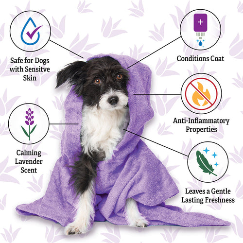 Espree Calming Lavender & Chamomile Shampoo & Conditioner