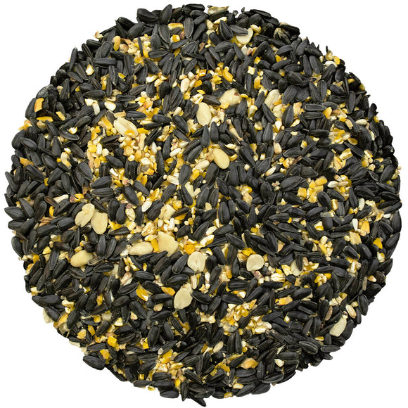 Bird Pro Year-Round Favorite