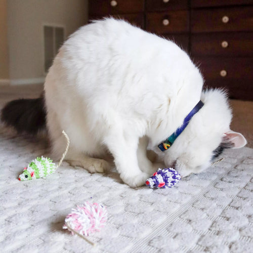 Coastal Pet Turbo Mop Mice Bulk Cat Toy Bin