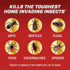 ORTHO Home Defense Insect Killer for Indoor & Perimeter₂