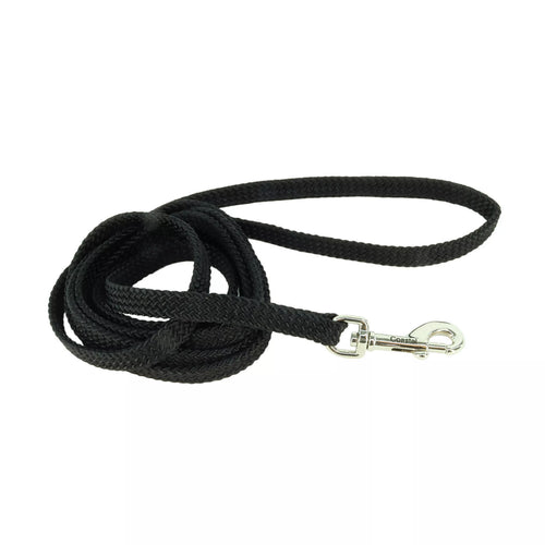 Coastal Pet Products Sunburst Dog Leash