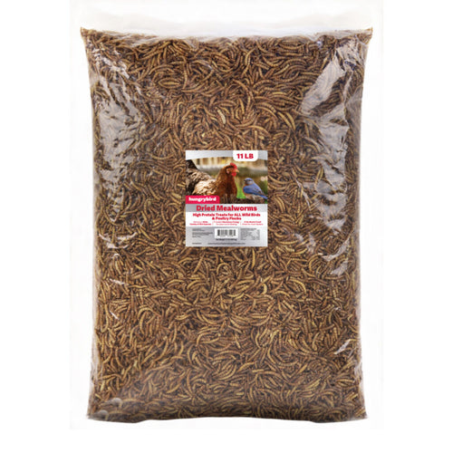 Hungrybird Dried Mealworms High Protein Poultry Treats for All Wild Birds & Chicken Flocks