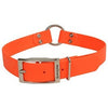 Dog Collar, Waterproof, Orange, 1 x 24-in