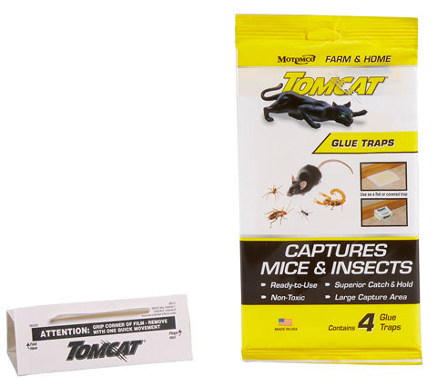 Tomcat Glue Traps