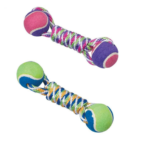 SPOT RAINBOW TWISTER 2-BALL BIG DUMBBELL
