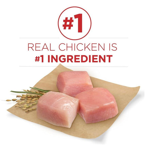 Purina ONE SmartBlend Large Breed Adult Dry Dog Food