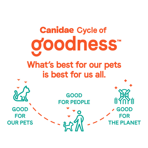 Canidae® Goodness for Skin & Coat Formula with Real Salmon Dry Cat Food (5-lb)