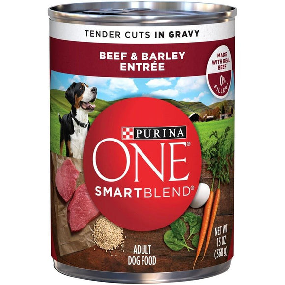 Purina ONE Tender Cuts Wholesome Beef & Barley Canned Dog Food