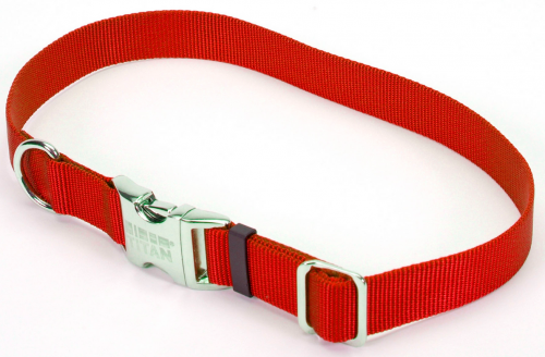 Coastal pet collars online