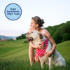 Natural Balance Mini Rewards Lamb Training Treats