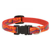 Lupine Pet Original Designs Dog Collar