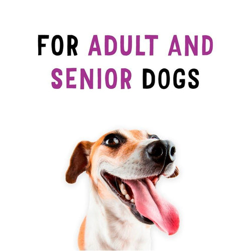 Beggin Strips Bacon & Peanut Butter Flavor Dog Treats