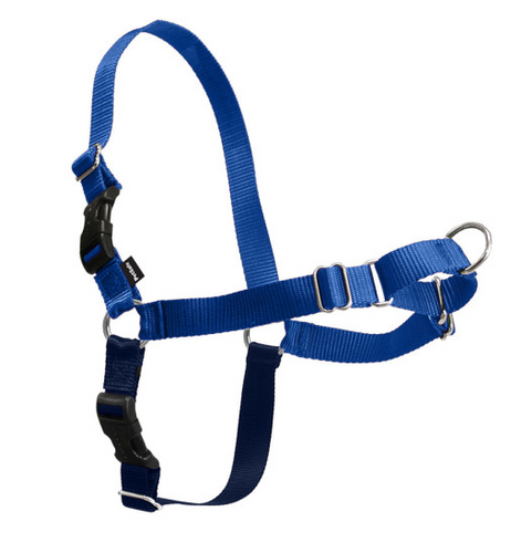 PetSafe Easy Walk Royal Blue & Navy Dog Harness