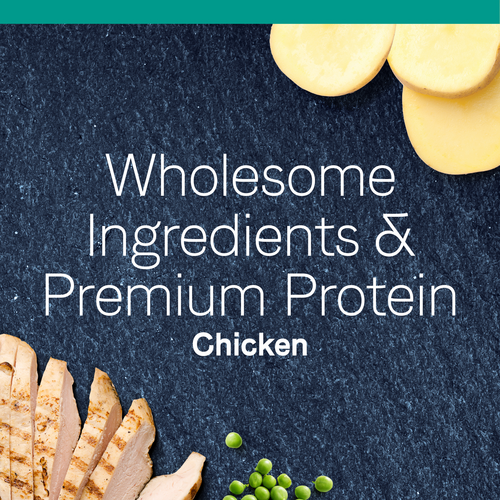 Canidae PURE Grain Free Limited Ingredient Chicken Dry Cat Food, (5-lb)