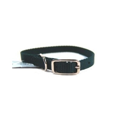 Hamilton Products Nylon Dog Collar with Buckle (1- count)