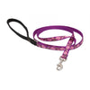 Lupine Pet Original Designs Padded Handle Dog Leash