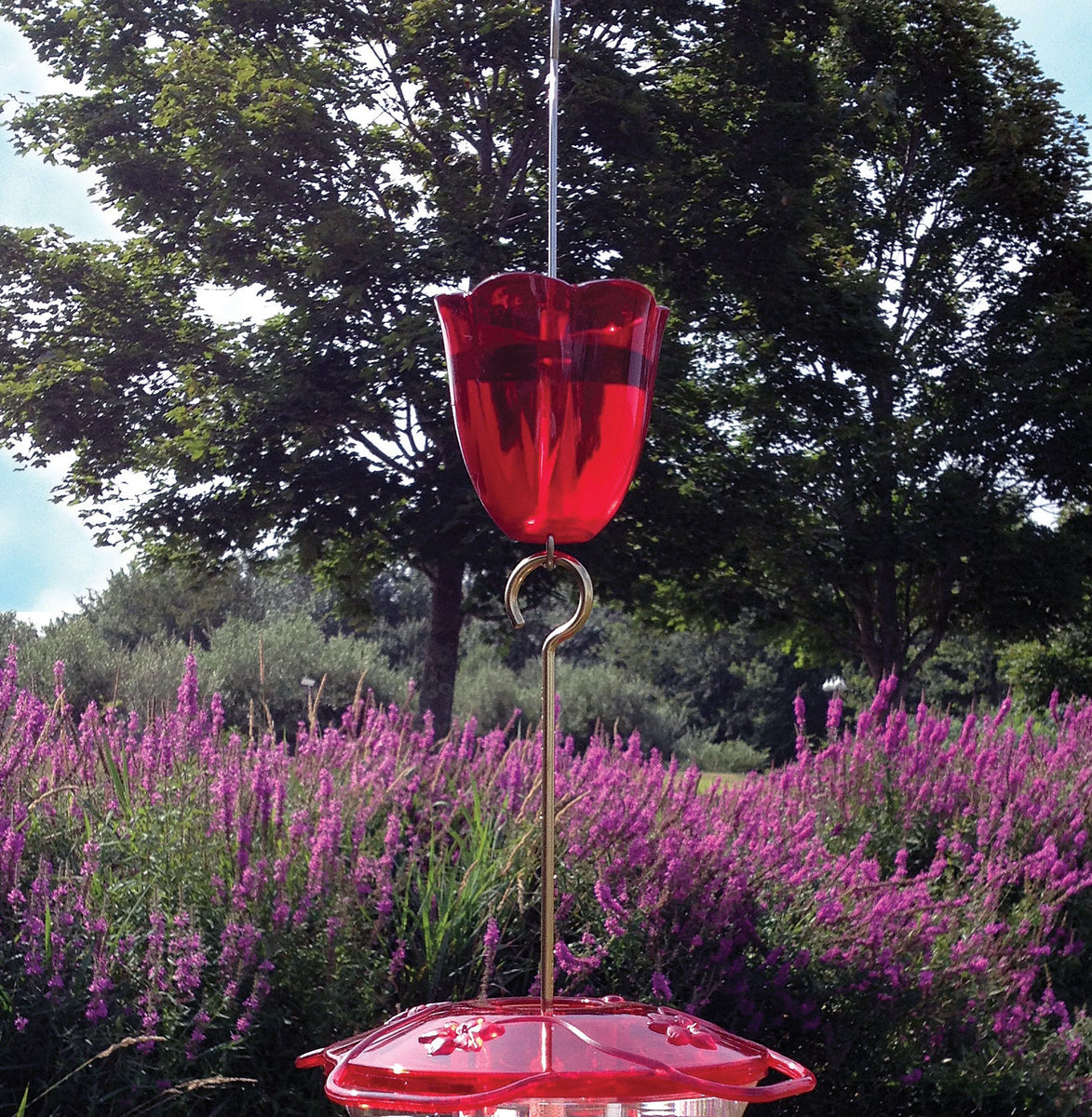 Droll Yankees Ant Moat Hummingbird Feeder - Serving 5 Locations in OH ...
