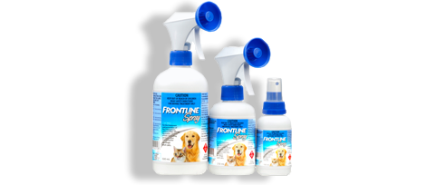 Flea spray for kittens online