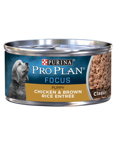 Purina Pro Plan FOCUS Puppy Chicken & Brown Rice Entrée Classic Wet Dog Food (5.5-oz, 24 Pack)