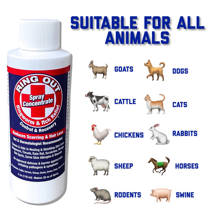 FlexTran Ring Out Concentrate Spray For Ringworm Control. Works on All ...