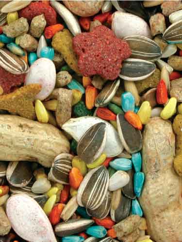 Mazuri Colorful Companions® Parrot Blend