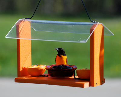 Woodlink Going Green Oriole Feeder