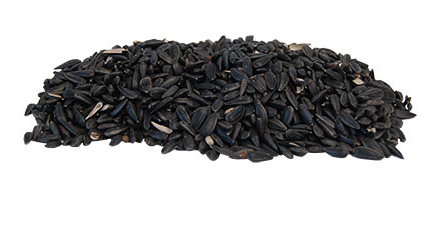 BestNest Black Oil Sunflower Seed (25 lbs)