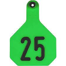 Y-Tex 4 Star Numbered Large Cattle Id Ear Tags Green 1- 25 (Large, Green)