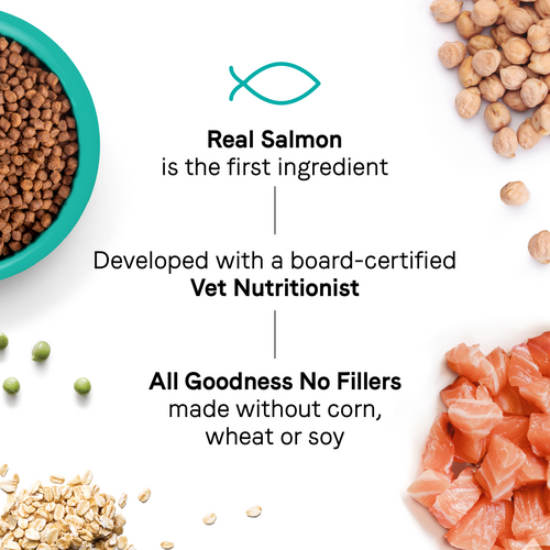 Canidae® Goodness for Skin & Coat Formula with Real Salmon Dry Cat Food (5-lb)