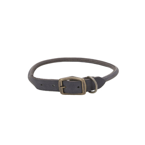 Circle t rolled leather collar hotsell