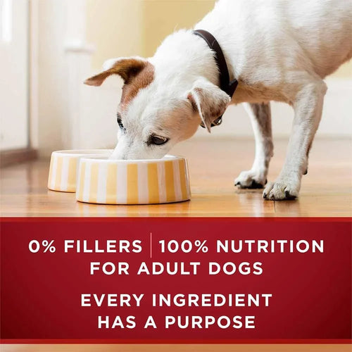 Purina ONE True Instinct Tender Cuts in Gravy Dog Food Formula With Real Chicken & Duck