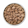 Purina ONE True Instinct Tender Cuts in Gravy Dog Food Formula With Real Chicken & Duck