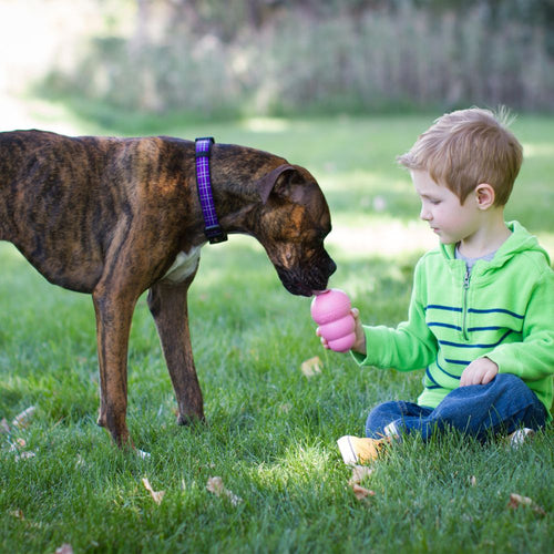 KONG Easy Treat™ To Go Puppy (5.3 oz, 10 pack)