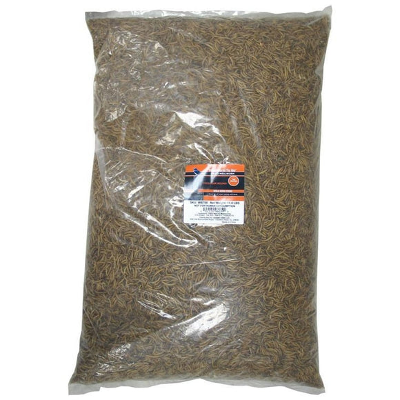 MEALWORM TO GO DRIED MEALWORM WILD BIRD FOOD (11.02 lb)