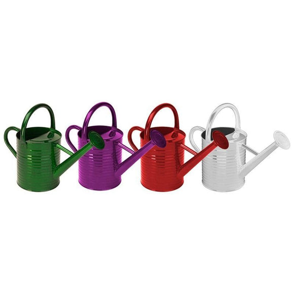 TRADITIONAL WATERING CAN (1 GAL, ASSORTED)